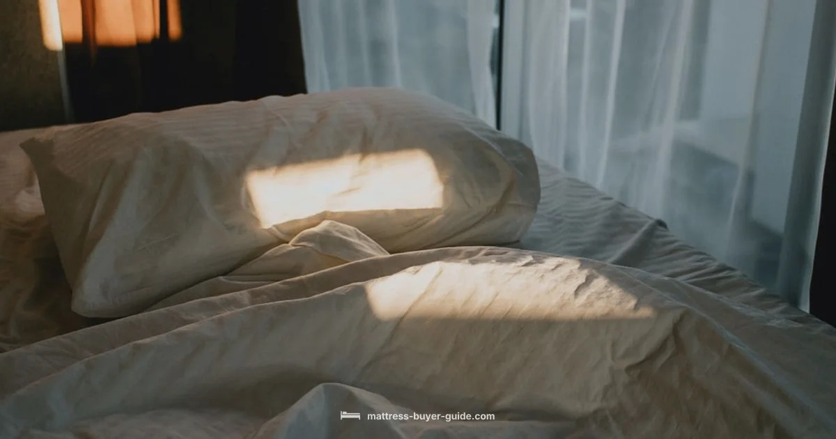 Dust Protector Guide - Mattress Buyer Guide