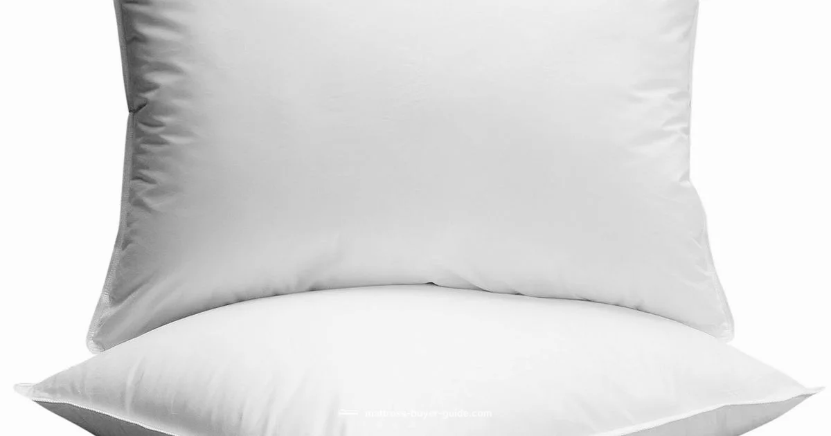 Settlement Timeline - Mattress Buyer Guide