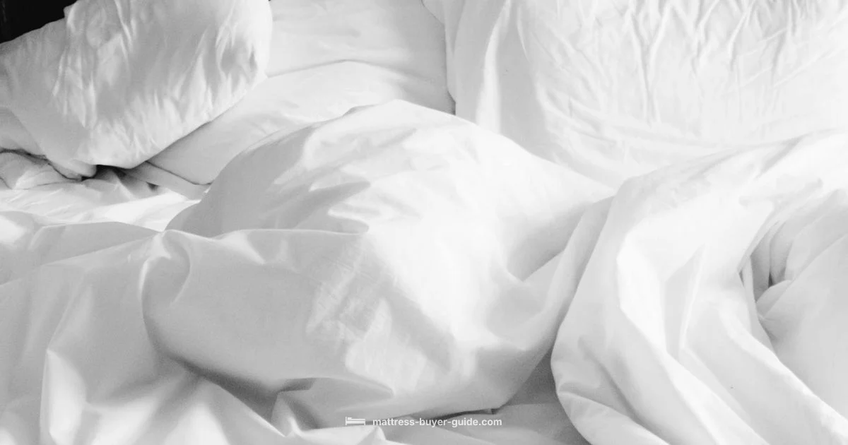 Place Your Bed Place Your Bed - Mattress Buyer Guide