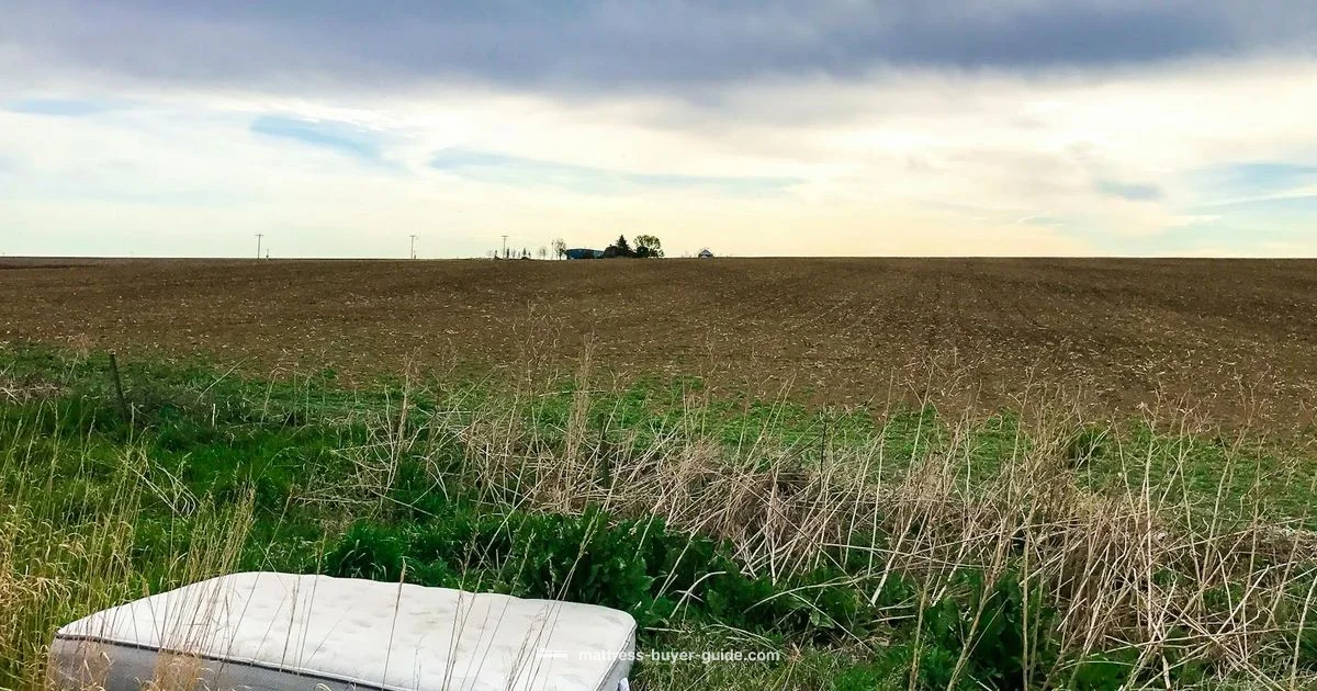 Mattress Buying Guide - Mattress Buyer Guide