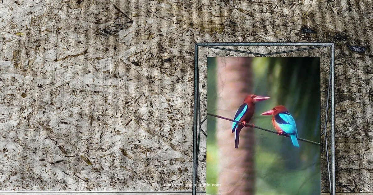 King Size Frame Guide - Mattress Buyer Guide