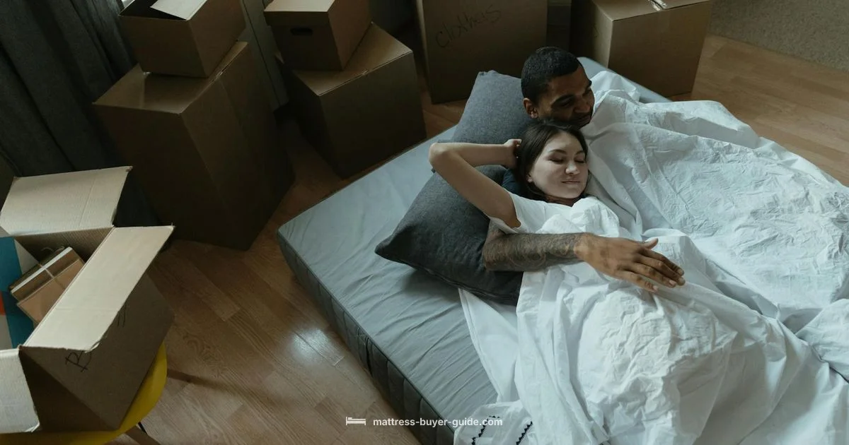 Boxed Sleep - Mattress Buyer Guide
