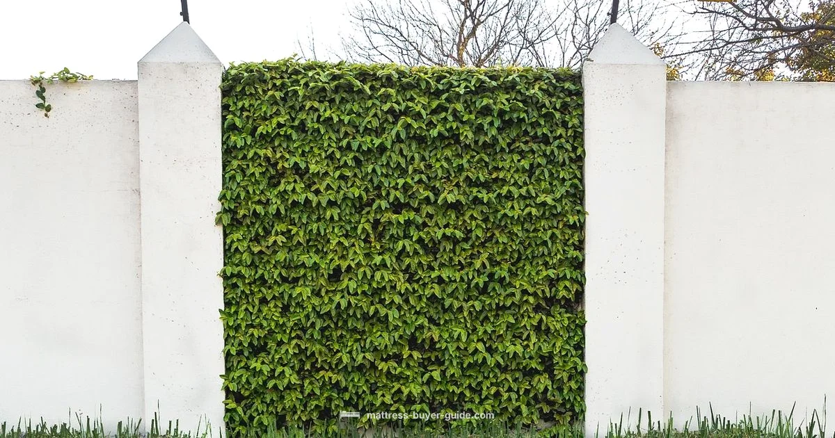 Raise Mattress Safely - Mattress Buyer Guide