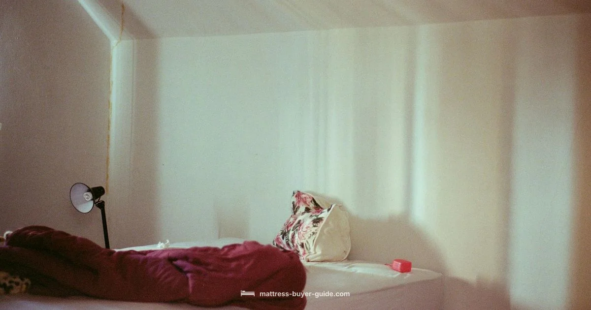 Budget Sleep Guide - Mattress Buyer Guide