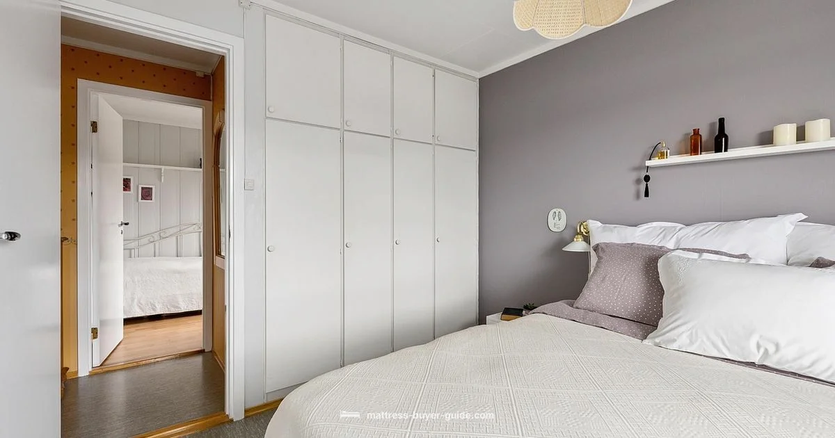 History of Sleep History of Sleep - Mattress Buyer Guide