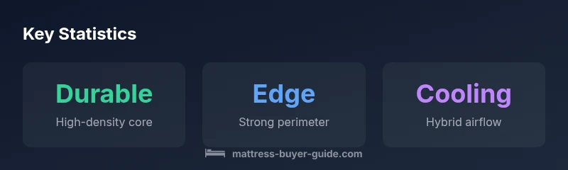 Infographic showing Big Fig mattress features and stats