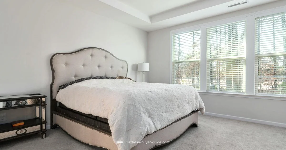 Largest Bed Guide - Mattress Buyer Guide